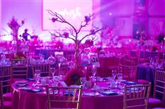 Qube Events & Productions Photo 3