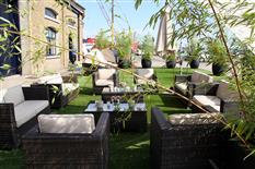 Real Oasis Photo 6