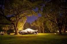 WM Event Design Photo 4