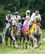 Joseph’s Amazing Camels Photo 2