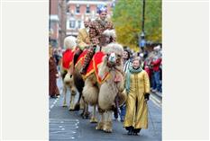 Joseph’s Amazing Camels Photo 6