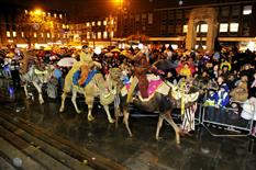 Joseph’s Amazing Camels Photo 7