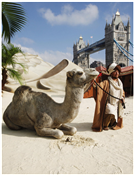 Joseph’s Amazing Camels
