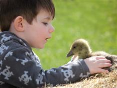 Miller’s Ark Animals Photo 3