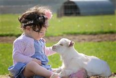 Miller’s Ark Animals Photo 4