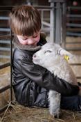 Miller’s Ark Animals Photo 8