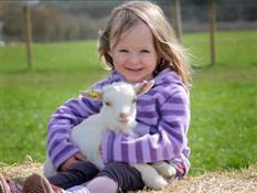 Miller’s Ark Animals Photo 2