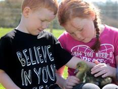 Miller’s Ark Animals Photo 6