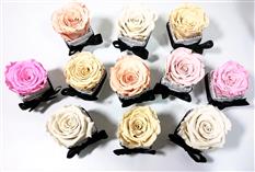 LUX FLORALS UK LTD Photo 4
