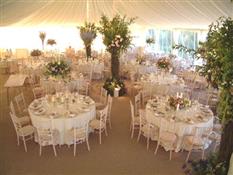Coloured Linen Hire Ltd Photo 2
