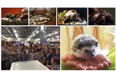Creature Ark Photo 2