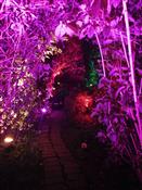 Blackthorn Events Photo 2