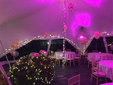 MJM Marquees Photo 6
