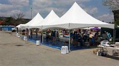 MJM Marquees Photo 5