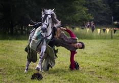 Steamhorse Photo 7