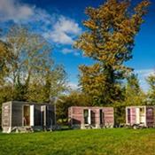 Wight Event Toilets Photo 2