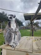 Longleat Enterprises Ltd Photo 5
