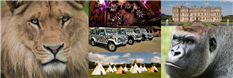 Longleat Enterprises Ltd Photo 2