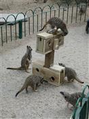 Longleat Enterprises Ltd Photo 4