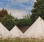Red Squirrel Event Hire Photo 8