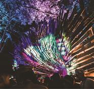 Red Squirrel Event Hire Photo 6