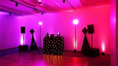 Flex Discotheques Photo 2
