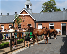 Palace House, National Horseracing Museum Photo 2