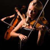 Last Minute Musicians Photo 3