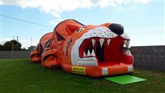 Tom And Maries Bouncy Castles Photo 4