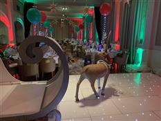 Decor Event Equipment Hire Photo 7
