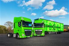 GREEN CLOVER