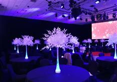 J R Centrepieces Photo 4
