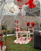 Carnations Events Photo 3