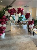 Louie Events Photo 6