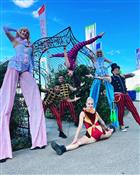 Forever Entertainment Photo 7